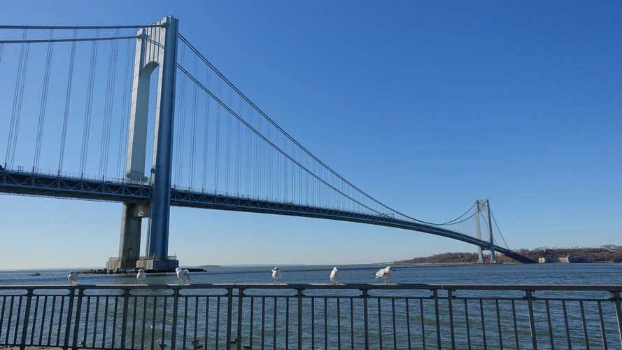 NYC_2024-02-05 09-50-48_RX_07379